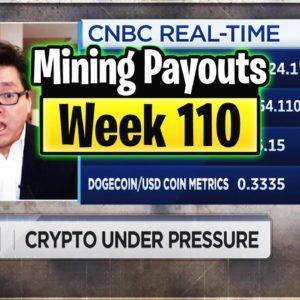 Weekly Mining Payouts 5/23/21 | Week 110