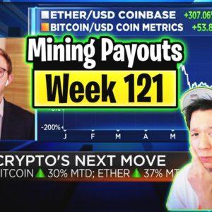 Weekly Mining Payouts 8/8/21 | Week 121