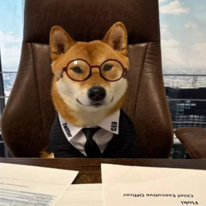 DOGE CEO