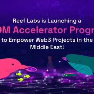 Reef Labs Is Launching a $10M Accelerator Program to Empower Web3 Projects in the Middle East – Press release Bitcoin News