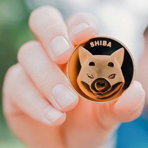 Man holding Shiba Inu token on natural background