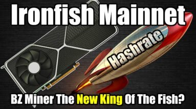 BZMiner New King Of The IRONFISH? | MAINNET Release