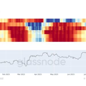 Bitcoin trend accumulation score by cohort