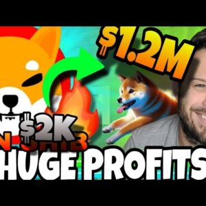 Trader Turns $2k Into $1.2 Million! This New Token Could Do The Same?!