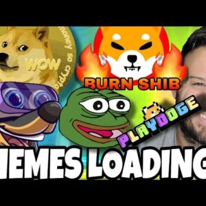 The Crypto Bottom May Be In! This Metric Shows Memes Ready To Explode! PlayDoge Staking Update!