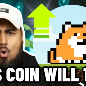 THIS CRYTO MEME COIN CAN 50X TO 100X YOUR MONEY! PLAYDOGE BEST P2E DOGE COIN