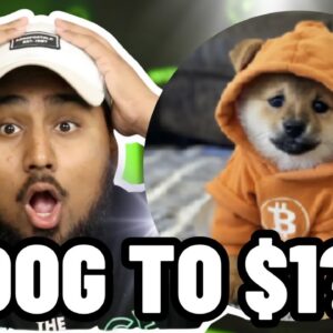 $DOG TO $1?! Dog Go To Moon Coin Is PUMPING!! Should you BUY $DOG?!