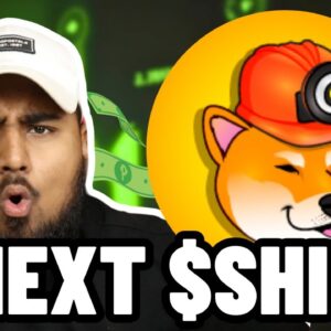 IS $MINU THE NEXT SHIBA INU?! This Meme Coin Has 100X Potential!