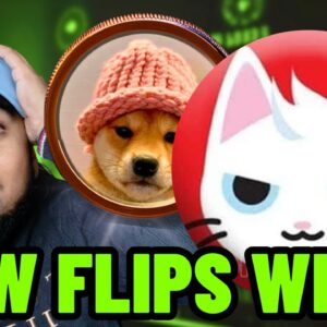 MEW COIN WILL FLIP DOGWIFHAT?! IS MEW COIN THE NEXT SHIBA INU?!