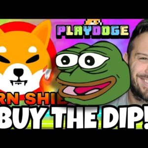 Buy The Dip! Whales Rush In To Buy The Dip On Major Meme Coins Like SHIB and Pepe