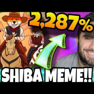 This Shiba Inu Coin Meme Is Offering Insane Rewards! Do Not Miss Shiba Shootout!