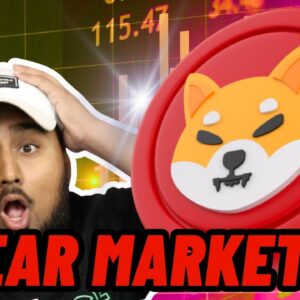 BEAR MARKET HERE?! WHAT DOES IT MEAN FOR SHIBA INU?!