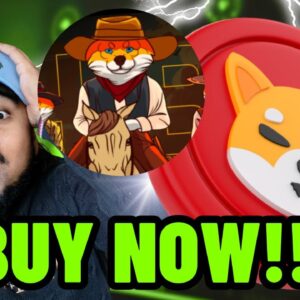SHIBA INU HOLDERS NEED TO KNOW ABOUT THIS... Next 100X Meme Coin is HERE?!