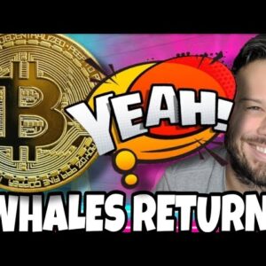 Crypto Whales Are Loading Up In These Meme Coins For The Upcoming Bull Market Rally!