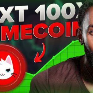 How to ACTUALLY Spot The Next 100X Memecoin w/MewsWorld