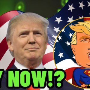 THIS CRYPTO MEME COIN WILL 100X IF DONALD TRUMP BECOMES PRESIDENT