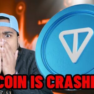 TON COIN IS CRASHING!! Should you buy Ton Coin?!