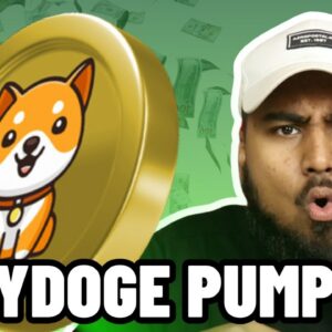 BABYDOGE COIN LISTED ON BINANCE!!! MASSIVE PUMP INCOMING!!!