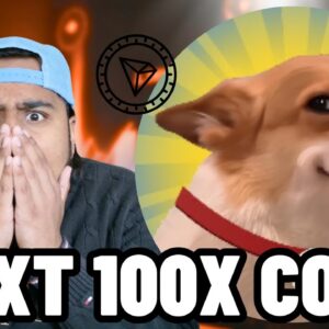 IS SUNDOG THE NEXT DOGECOIN?! Next 100X Crypto Meme Coin on TRX!