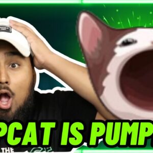 Popcat meme coin is pumping! (BUY NOW?!) Top Crypto Meme Coin Gainer!!!