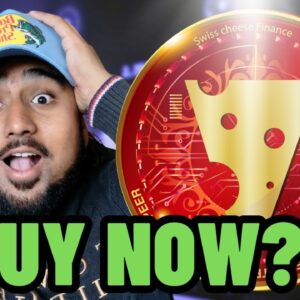 WHY IS $SWCH PUMPING?! SHOULD YOU BUY SWISSCHEESE COIN?!