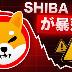 SHIBA INUに異変が！？買いか売りか？あなたならどっち！？