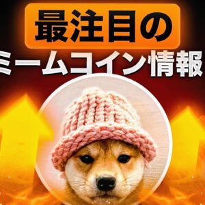 今話題のDogwifhatが盛り上がりを見せる！買うべき仮想通貨なのか？