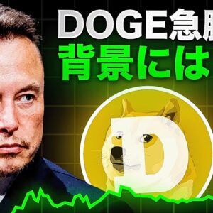 イーロンマスクがDOGECOINを〇〇！！テスラCEOが動き出す！？