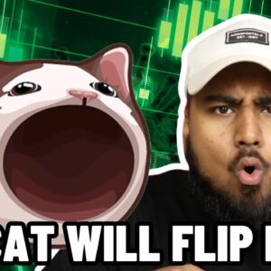 BEST TIME TO BUY POPCAT ON SOL?! (BUY THE DIP!!)