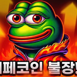 페페 코인 불장의 시작!?