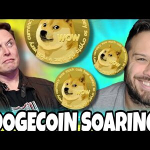 Dogecoin Is Soaring On This News! The Meme Coin Sector Is Ready To Explode!