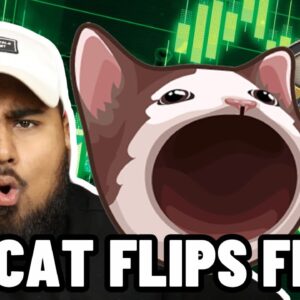 POPCAT ON SOL WILL FLIP FLOKI INU!? BUY POPCAT NOW!?