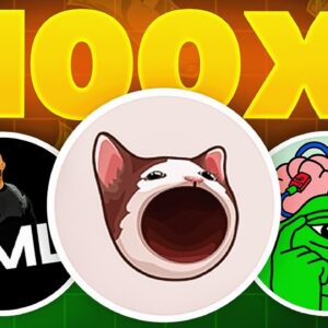 BEST 3 MEME COINS TO Buy Now to 100X Your Money?!? (FLIP $1k to $100k?!)