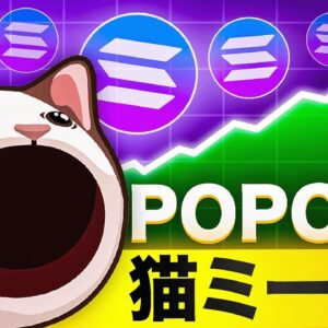 ソラナ系ミームコインPOPCATが好パフォーマンス！猫ミームの盛り上がりから買い増すべき？？