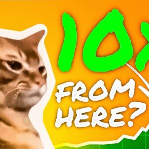 Catslap Price Prediction | Catslap News - Will $SLAP 10x From Here?!