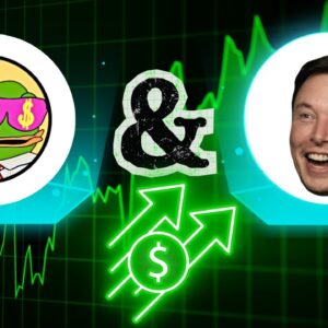 Wall Street PEPE Next 100X Meme Coin | $WEPE Raises $23,500,000!! (Best Crypto to Buy Now?!)