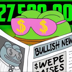 Wall Street PEPE Raises $27,500,000 - Next 10X MEME COIN?! (HUGE potential!!)