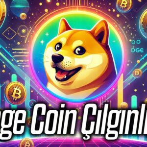 Best Wallet ile Baby Doge Nasıl Satın Alınır?