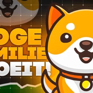 Dogecoin Stijgt 🌟 Tijd voor Baby Doge? Zo Doe Je Dat!