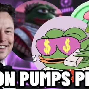 ELON MUSK IS TILL PUMPING PEPE!! THIS PEPE MEME COIN CAN 50X!! $WEPE COIN!