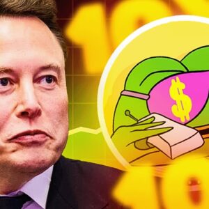 Elon Musk PUSO A PEPE en su foto de perfil! SUBIRÁ DE PRECIO?