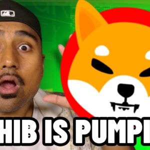 SHIBA INU IS PUMPING AGAIN!! BUY $SHIB NOW?! SHIBA INU PRICE PREDICTION