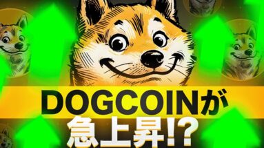 DOGCOINが急騰！？このトークンは何者なのか？大丈夫なの？