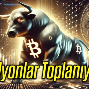 BTCBull Kripto Piyasasında Nasıl Bir Yer Edinebilir?