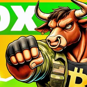 Krypto News: Bitcoin Airdrop mit BTC Bull! Ist das die beste Möglichkeit um Bitcoin zu erhalten?