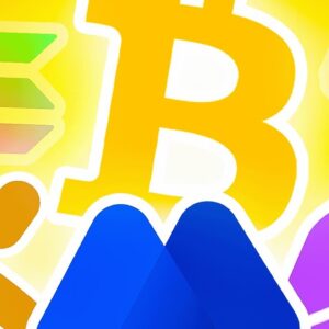 仮想通貨初心者必見！機能性の高い取引所やウォレットとは？