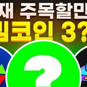 현재 시장 상황에서 참고할 만한 TOP 3 밈코인?!