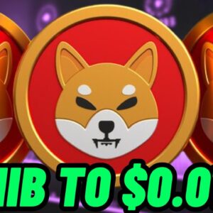 SHIBA INU TO $0.01?! SHIB BURN RATES SKYROCKET!! SHIBA INU PRICE PREDICTION